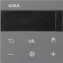 Gira RTR ekraan antratsiit 539328 (539328)