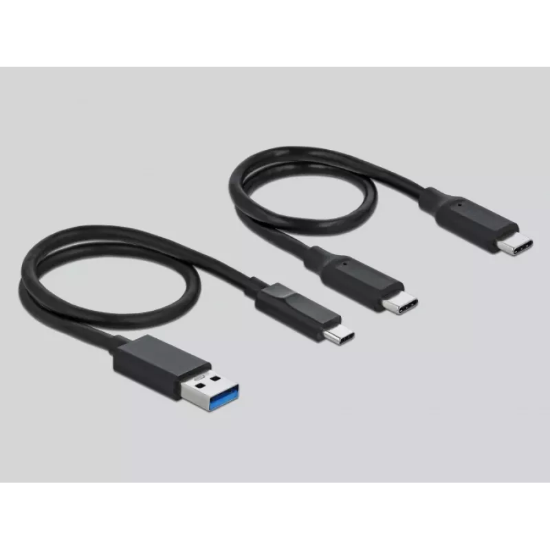 Card Reader DeLOCK USB USB-C CFasti ja SD jaoks + USB-jaotur