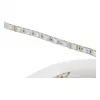 Synergy 21 LED Flex Ribalint 5050 - 60 RGB DC24V + RGB-W ühe kiibiga KW IP68