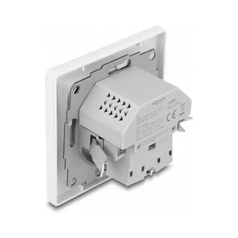 DeLOCK 11499 pistikupesa tüüp F koos USB-A ja USB-C-ga, valge