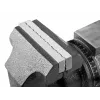 Pöörlev lukksepakruustang NEO tools 100 mm 360° – töölauale kinnitatav kruustang lukksepa- ja metallitööks, mudel 35-030