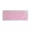 Glorious PC Gaming Race GMMK ABS Doubleshot V2 UK aluskomplekt - roosa (GLO-KC-ABS-UKKIT-P)
