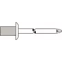 Blind needid GESIPA 4×8,0 mm Al/A2 CAP Standard, 500 tk