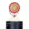 sE Electronics sE2300 Must Stage/performance microphone