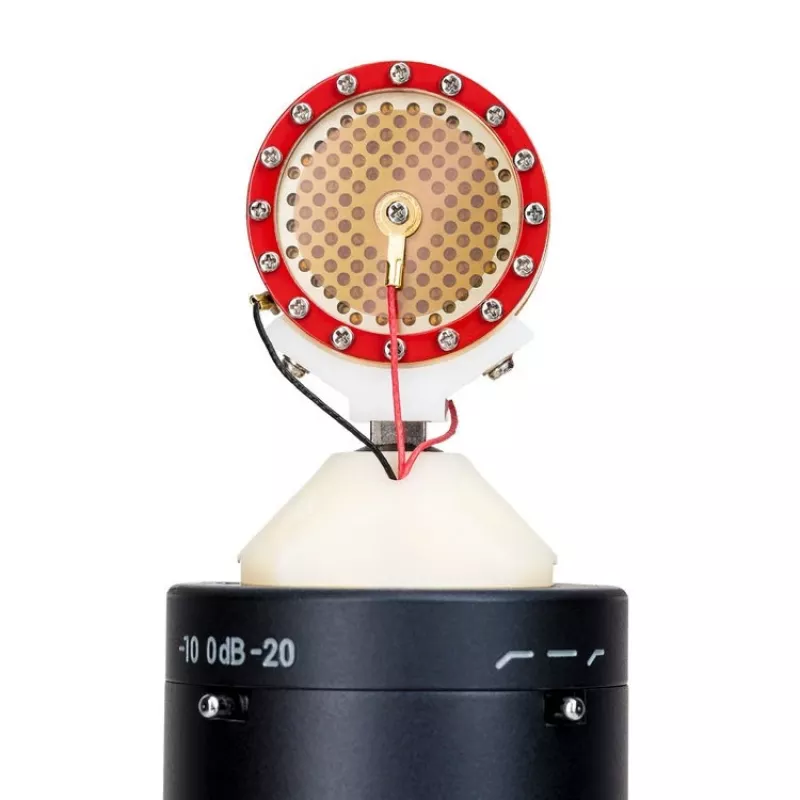 sE Electronics sE2300 Must Stage/performance microphone