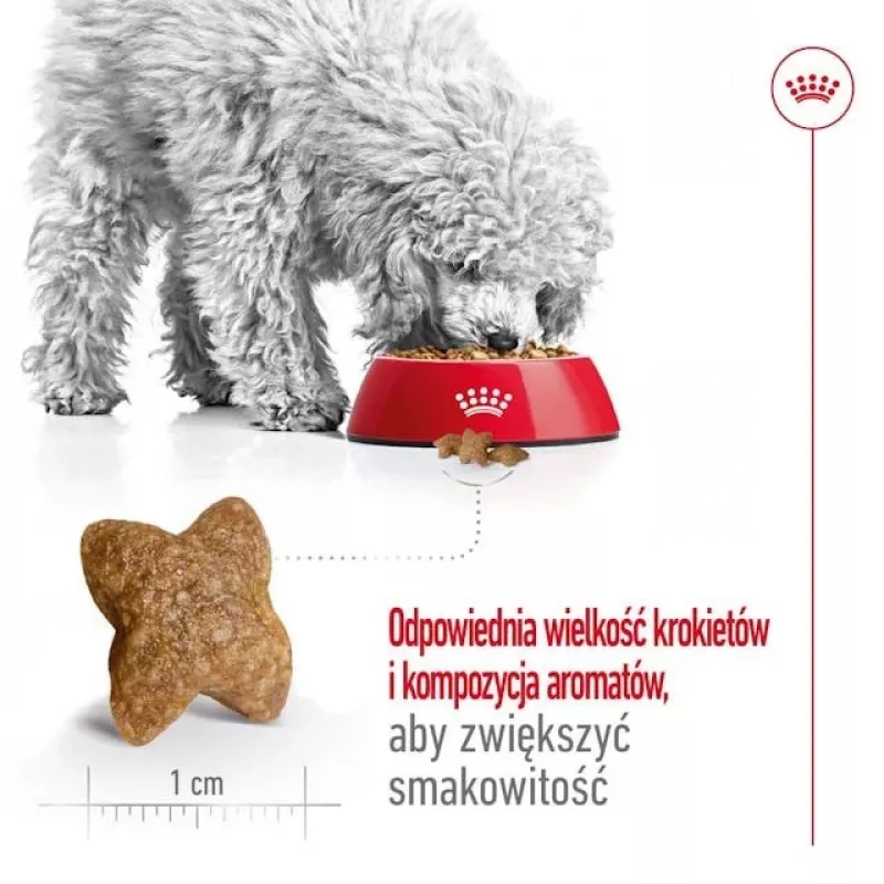 ROYAL CANIN Adult Mini S - kuiv koeratoit - 2 kg