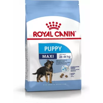 Royal Canin SHN Maxi Puppy - kuiv kutsikatoit - 4kg