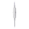 Kõrvaklapid White Shark GH-2446 Gottan Valge