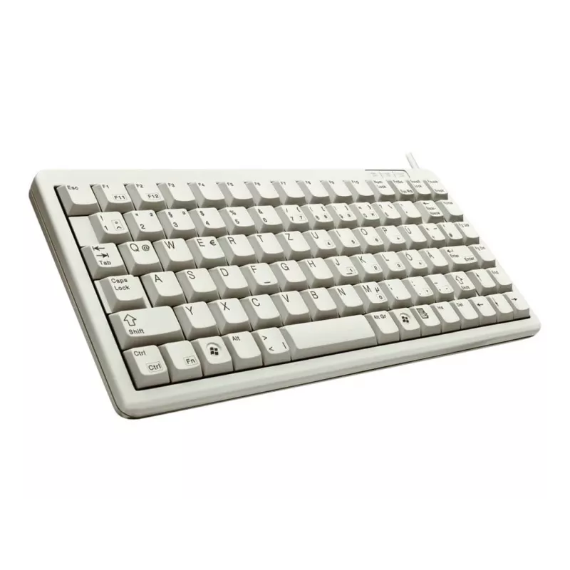 CHERRY G84-4100 klaviatuur Universal USB QWERTZ saksa hall