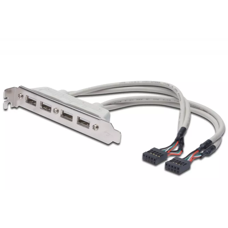 Pilupesa kaabel USB 2.0 HighSpeed tüüp 2xIDC (5pin)/4xUSB A M/F hall 0,25 m