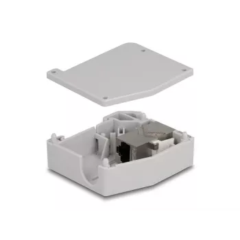 DeLOCK DIN-liistu adapter RJ45 pesa RJ45 pesale Cat.6A Hall