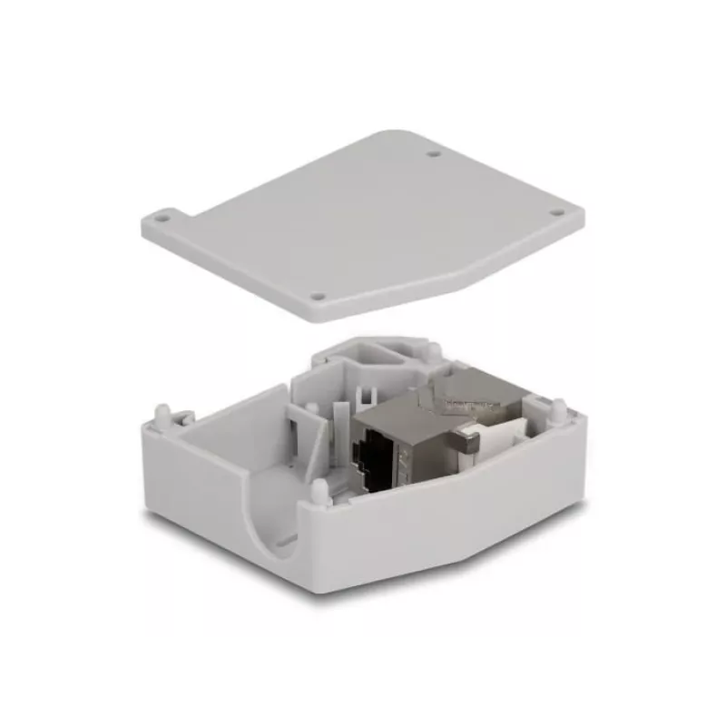 DeLOCK DIN-liistu adapter RJ45 pesa RJ45 pesale Cat.6A Hall