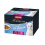 Märg kassitoit animonda Vom Feinsten Kitten täisväärtuslik eine — 24 x 85 g alust, 81% niiskust, 9% valku, kasvuperioodiks (2–4,9 kg)