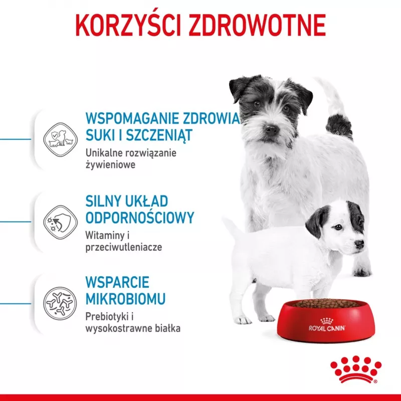 Kuiv koeratoit Royal Canin Starter Mother & Babydog 1 kg — Kana, 30% valku, 22% rasva