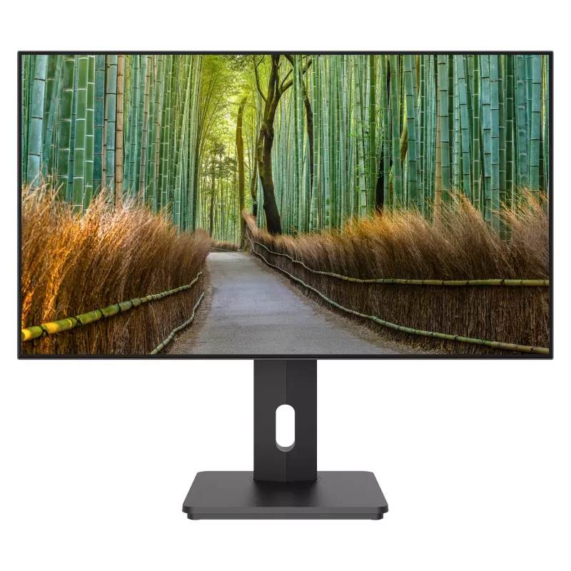 JAPANNEXT JN-27IPS4FLWQHDR-HSP 16:9 HDMI/DP WQHD - lameekraan (TFT/LCD)