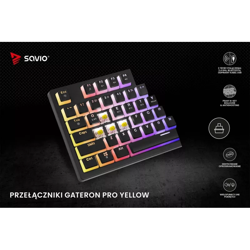 Savio SAVGK-PHENIX YELLOW PUDDING Kollane USB