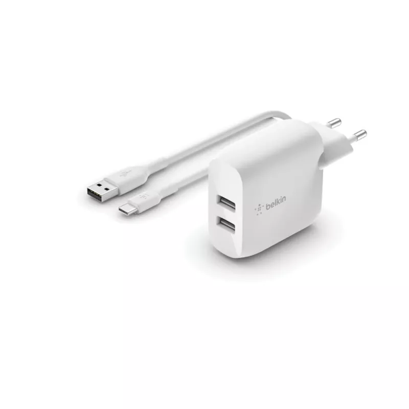 Mobiilseadme laadija Belkin WCE001VF1MWH