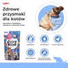 Märjad kassimaiused INABA Juicy Bites kana ja tuunikalaga 3 x 11 g kotikesed, teraviljavaba, valku 24%, niiskust 71%