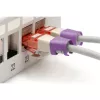 Värvikoodiklamber Digitus Värviklambrid sidesõlmede kaablile A-CC-VI PVC Violetne