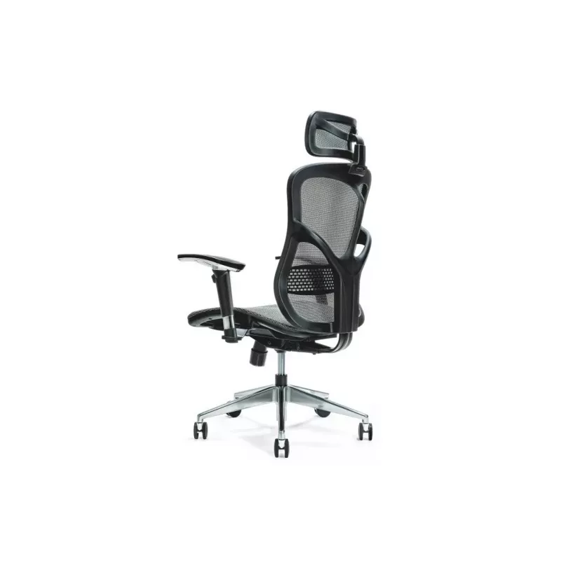 Ergonoomiline kontoritool ERGO 500 hall