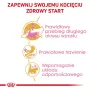 Kuiv kassitoit Royal Canin Maine Coon Kitten 2 kg — linnuliha, valk 36%, rasv 23%