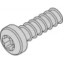 SCHROFF KRUVI TORX 2.5X7.3 (100 TK) - Riiulitarvik (24560157)