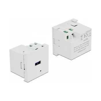Toitepistikupesa USB-A DELOCK 81311, valge, 100–240 V, 0,5 A, LED-toiteindikaator, plastkorpus
