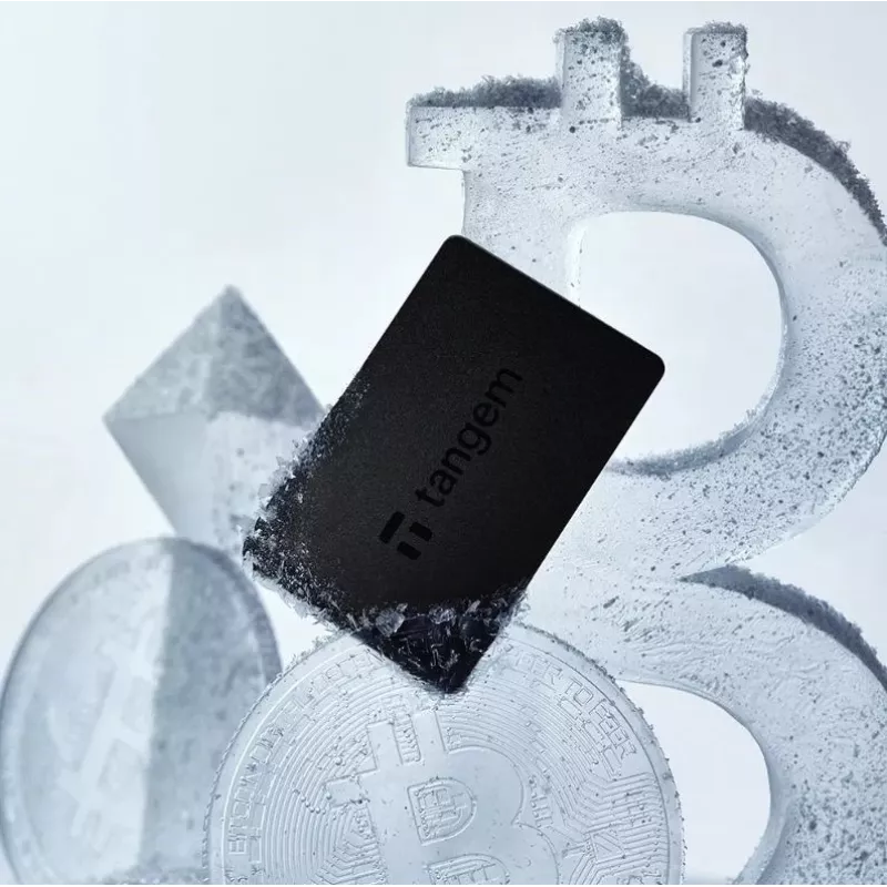 Tangem Wallet krüptovaluuta rahakott - 2 kaarti