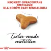 Kuiv kassitoit Royal Canin Bengal Adult 2 kg — linnuliha, 40% valku, 18% rasva, seedimise ja naha hooldus