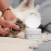 Salv VETEXPERT Paw Protection 75 ml — käpapalsam koertele ja kassidele, sobib kõikidele tõugudele ja vanustele