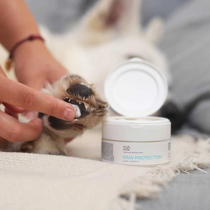 Salv VETEXPERT Paw Protection 75 ml — käpapalsam koertele ja kassidele, sobib kõikidele tõugudele ja vanustele