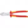 Knipex 74 06 250 Toode