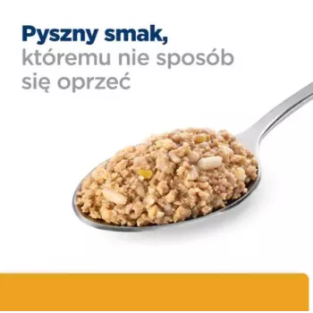 HILL'S PD Canine Urinary Care C/D - märg koeratoit - 370 g