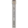 Puuritera Bosch 2608599051, teemantotsik, 10 mm läbimõõt, 66 mm pikkus