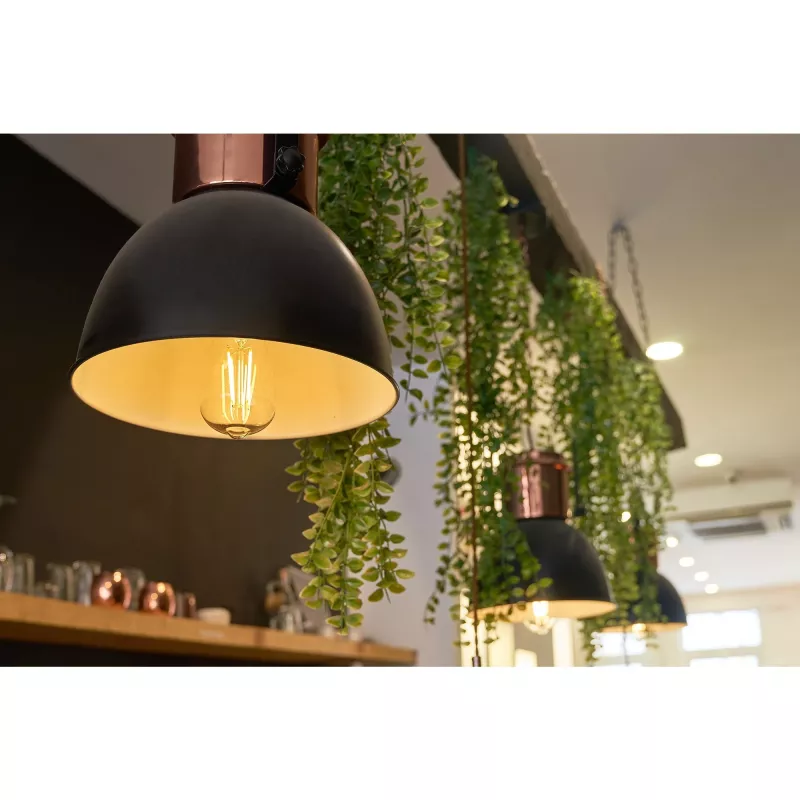 Nutipirn Shelly Vintage ST64 Wi-Fi läbipaistev 230V
