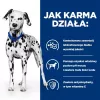 HILL'S PRESCRIPTION DIET Urinary Care Canine u/d kuiv koeratoit 10 kg