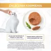 Märg kassitoit multipakend Purina Nestlé Gourmet Gold Mus Mix 48×85 g purki sorteeritud maitsetega