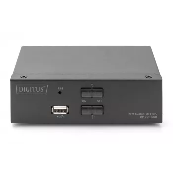 KVM-lüliti, 2x1 DS-12851