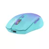 Juhtmevaba hiir Tellur Silent Click TLL491331 USB