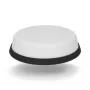 Panorama ülimadala profiiliga WiFi 5G antenn LPM2W-24-72-2RPSP