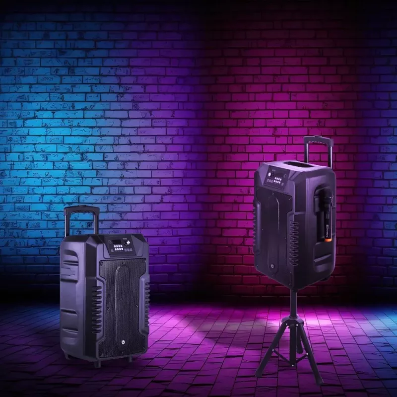 Kõlarid Manta SPK1203B100 100W