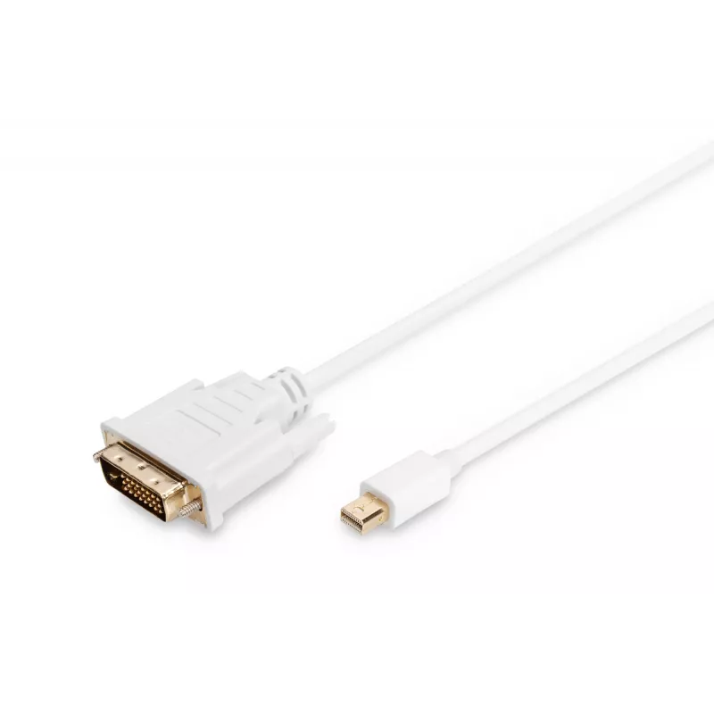 Kaabel DisplayPort 1.1a mini DP-DVI tüüp MM 2,0m