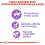 Kuiv kassitoit Royal Canin Sterilised 2 kg — täiskasvanud steriliseeritud kassid, kana, 37% valku