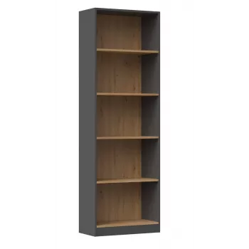 Topeshop R60 ANT/ART kontori raamaturiiul
