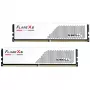 G.Skill F5-6000J3036F48GX2-FX5W mälumoodul 96 GB 2 x 48 GB DDR5 6000 MHz