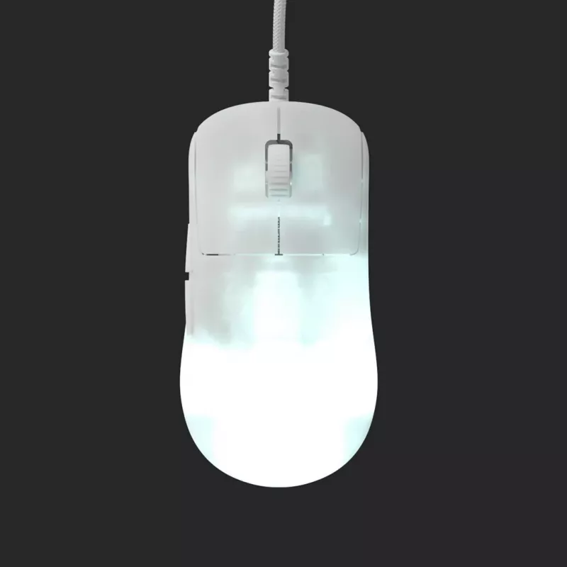 Endgame Gear OP1 RGB hiir Mängimiseks Paremakäeline USB Type-A Optiline 26000 DPI