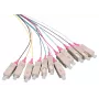 LOGON LFP035 InfiniBand/kiudoptiline kaabel 2 m 12x SC mitmevärviline (LFP035)