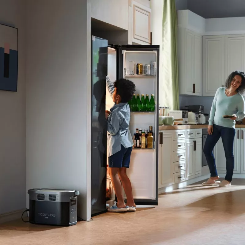 EcoFlow DELTA 2 Max kaasaskantav elektrijaam liitiumraudfosfaat (LiFePO4) 2400 W 23 kg