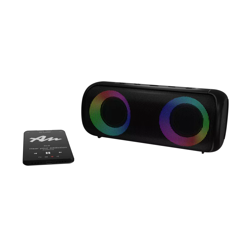 Stereo kaasaskantav kõlar Audictus Aurora Pro 20 W