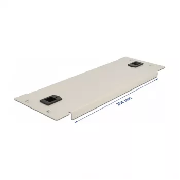 Blind panel DeLOCK 10 inch võrk Cabinet 66631